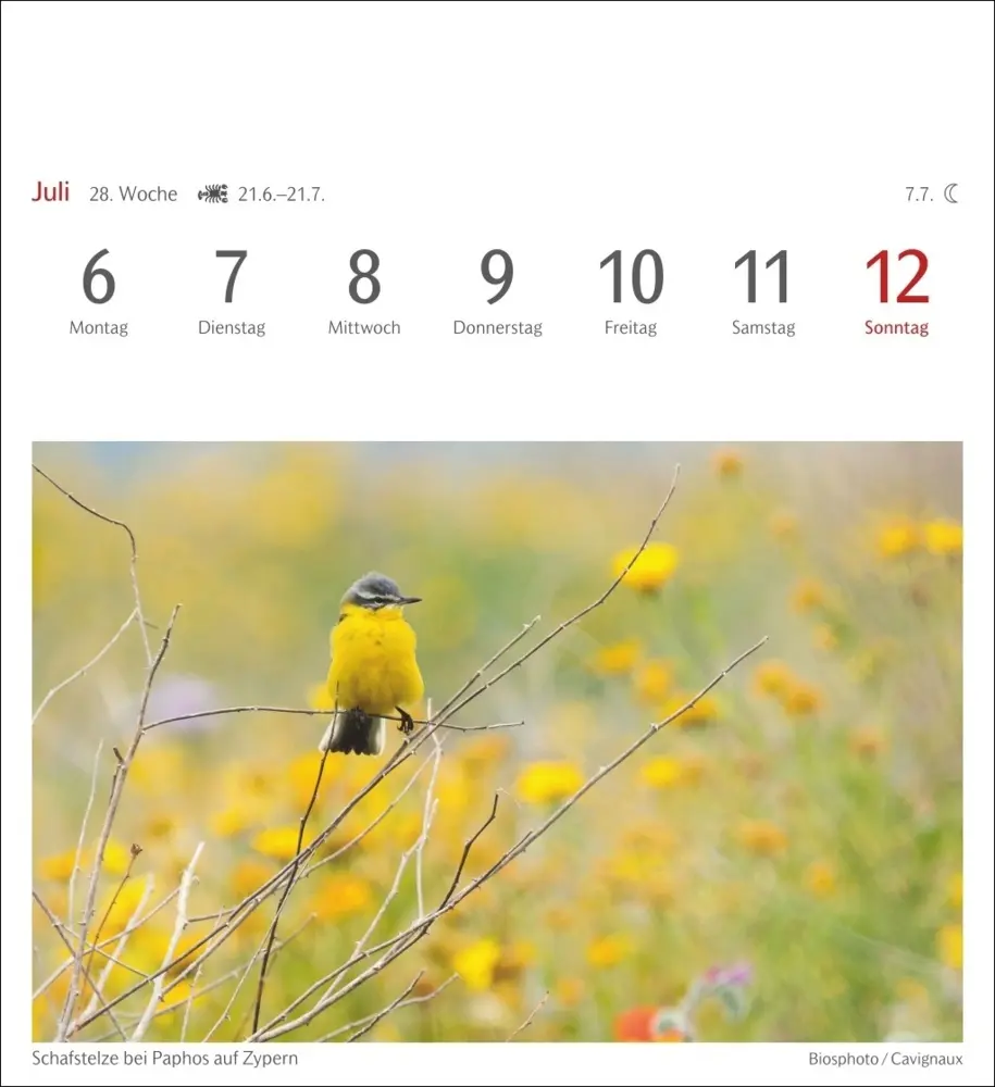 Bild: 9783840036491 | Farben der Natur Postkartenkalender 2026 - Wochenkalender mit 53...
