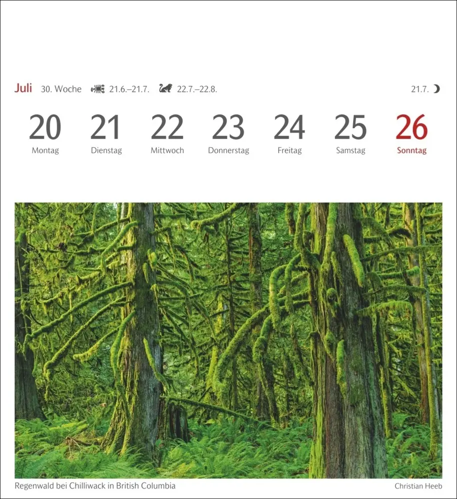 Bild: 9783840036491 | Farben der Natur Postkartenkalender 2026 - Wochenkalender mit 53...