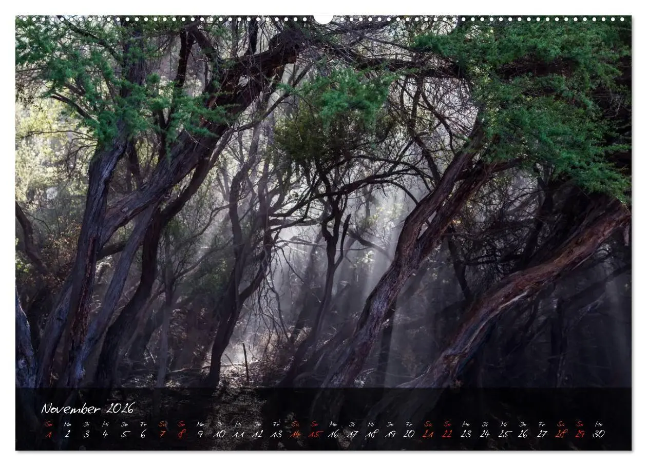Bild: 9783516156591 | Neuseeland - Land der Maori (Wandkalender 2026 DIN A2 quer),...
