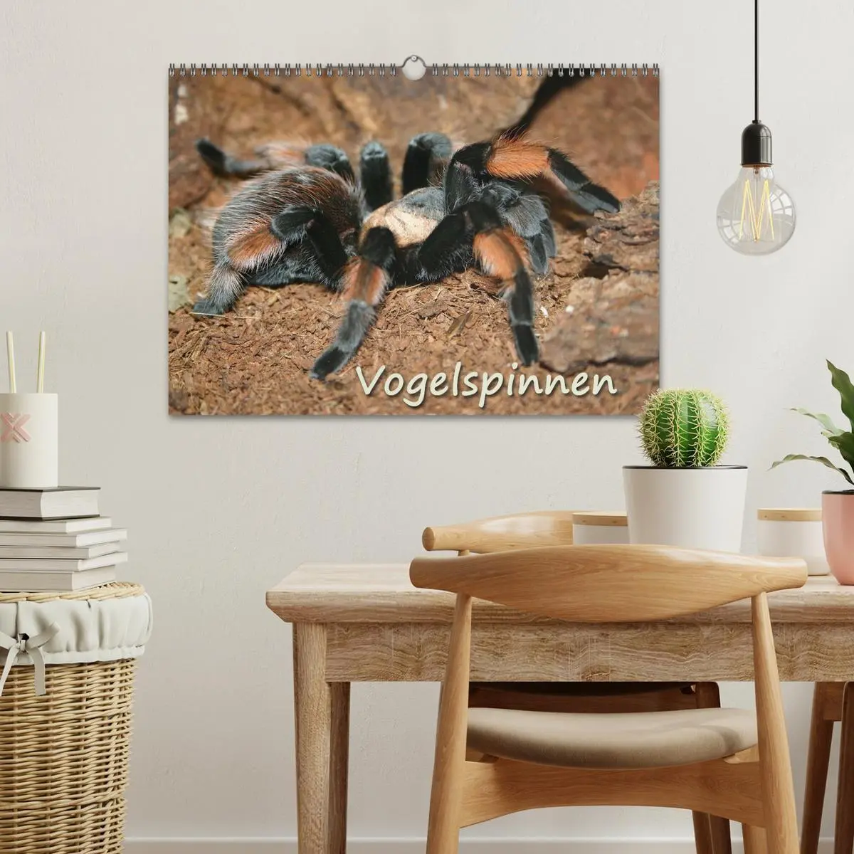 Bild: 9783516076691 | Vogelspinnen (Wandkalender 2026 DIN A3 quer), CALVENDO Monatskalender
