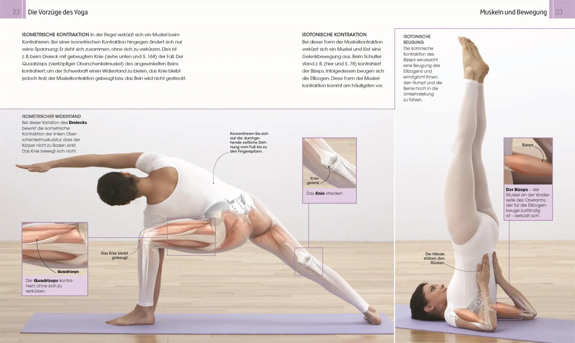 Bild: 9783831036691 | Besser leben mit Yoga | Das ganzheitliche Programm für zu Hause | Buch