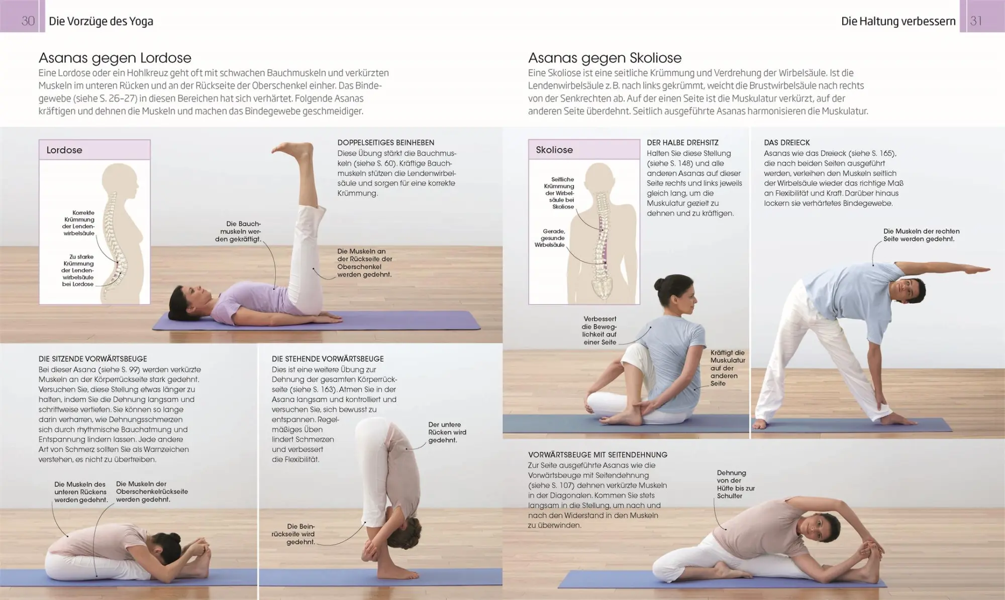 Bild: 9783831036691 | Besser leben mit Yoga | Das ganzheitliche Programm für zu Hause | Buch