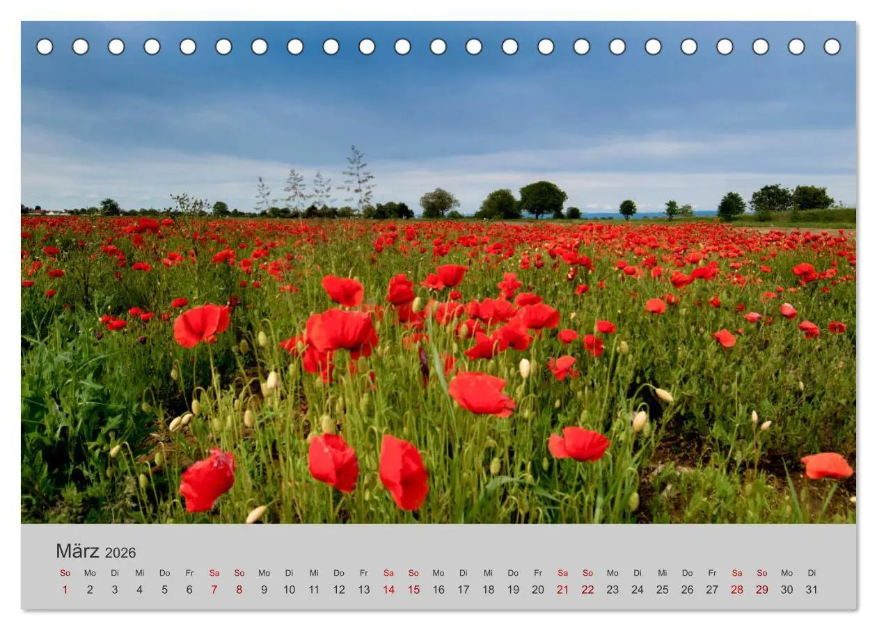 Bild: 9783457806791 | Die Schönheit der Bretagne (Tischkalender 2026 DIN A5 quer),...