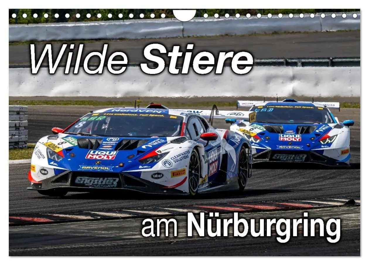 Cover: 9783516686791 | Wilde Stiere am Nürburgring (Wandkalender 2026 DIN A4 quer),...