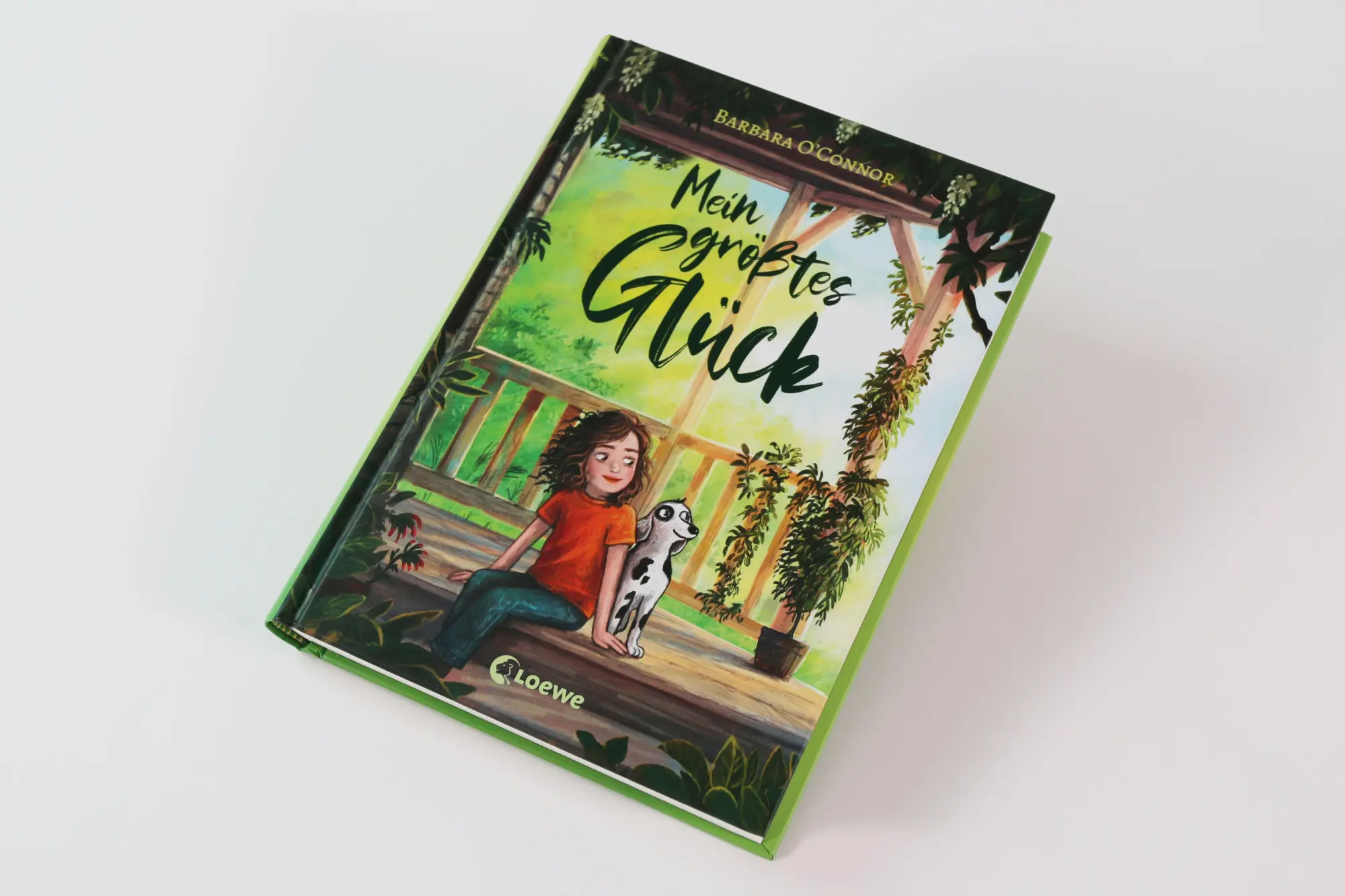 Bild: 9783743226791 | Mein größtes Glück | Barbara O'Connor | Buch | 192 S. | Deutsch | 2026