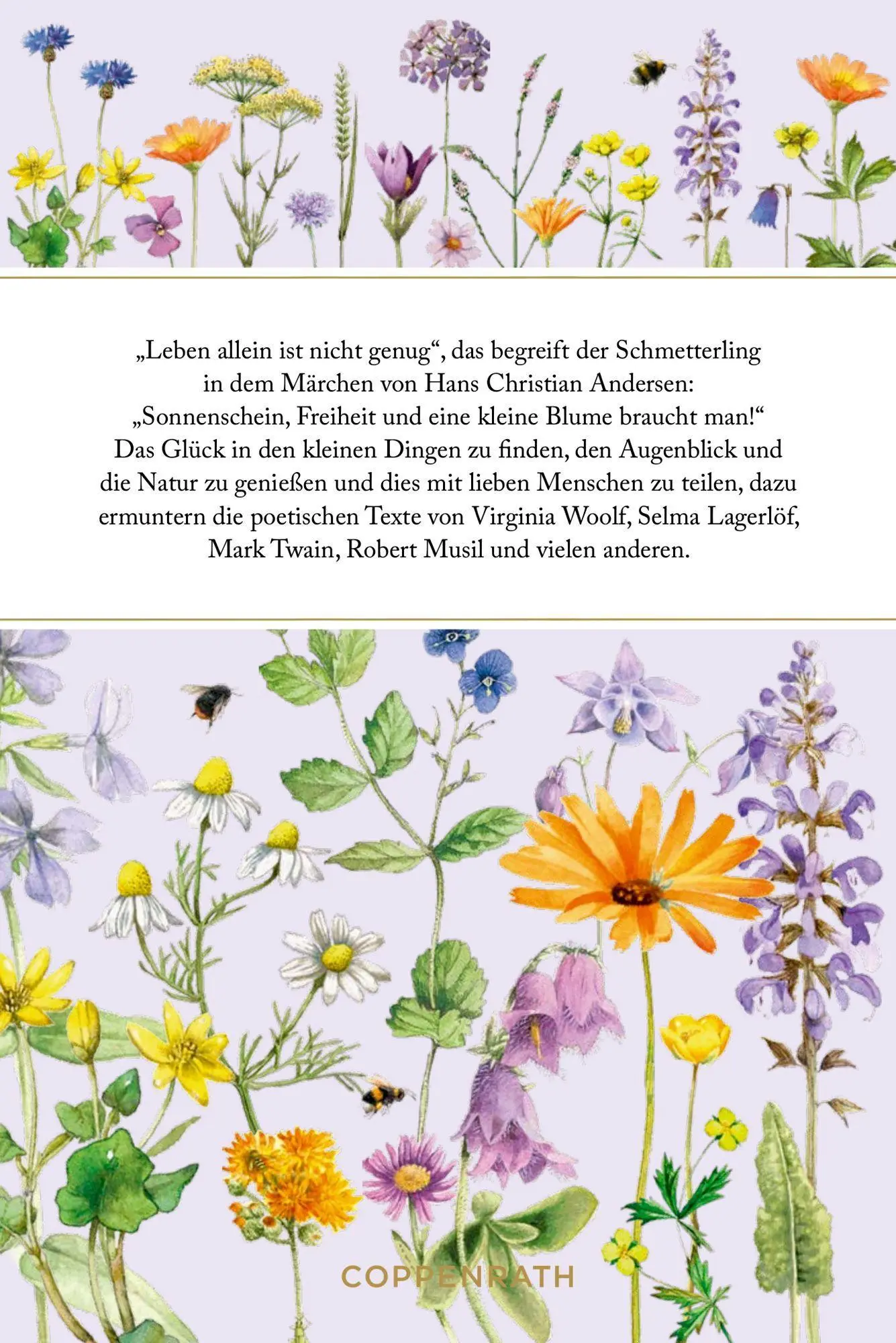 Bild: 9783649646891 | Sonnenschein, Freiheit und eine kleine Blume braucht man | Schaefer