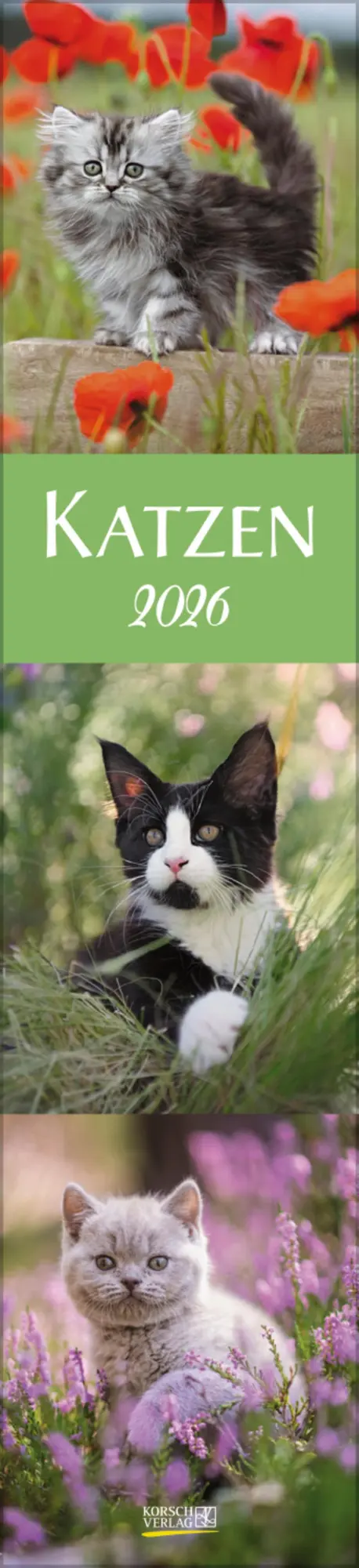 Cover: 9783731886891 | Katzen Langplaner 2026 | Langplaner | Verlag Korsch | Kalender | 13 S.
