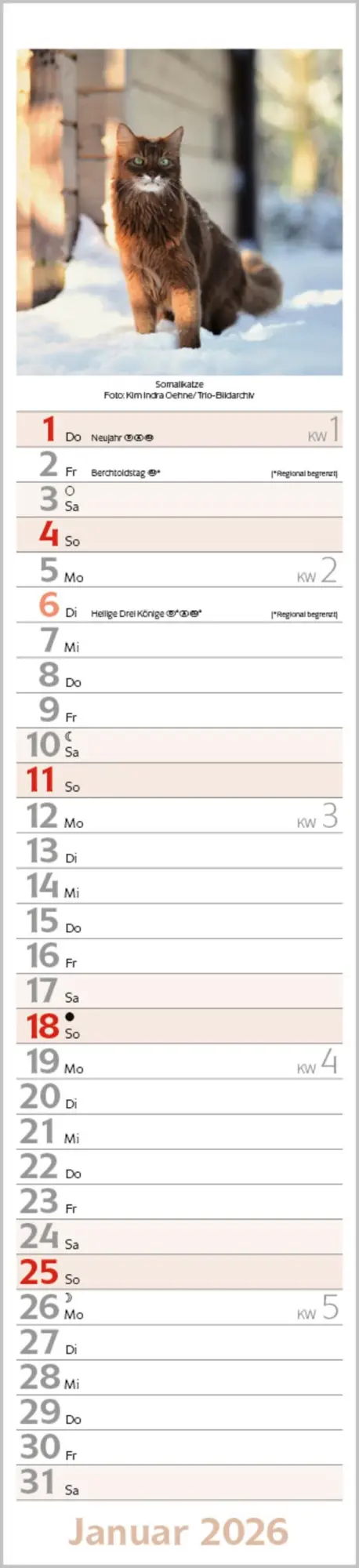 Bild: 9783731886891 | Katzen Langplaner 2026 | Langplaner | Verlag Korsch | Kalender | 13 S.