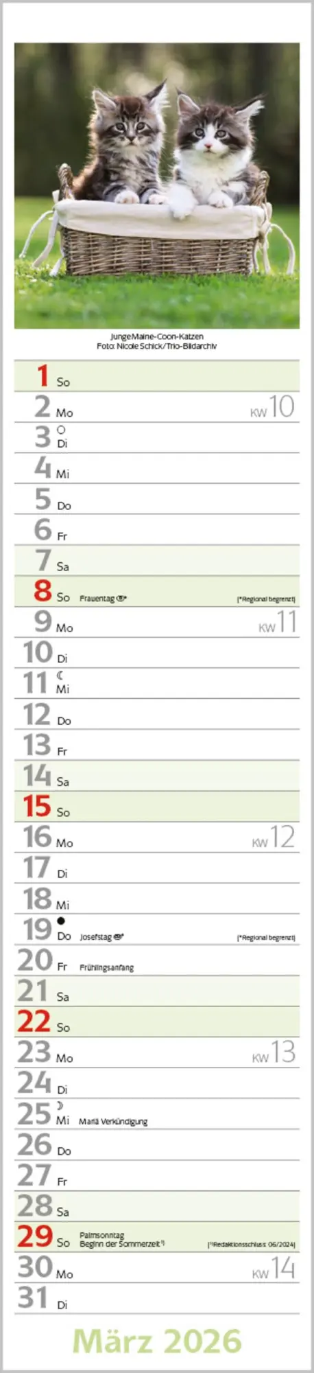 Bild: 9783731886891 | Katzen Langplaner 2026 | Langplaner | Verlag Korsch | Kalender | 13 S.