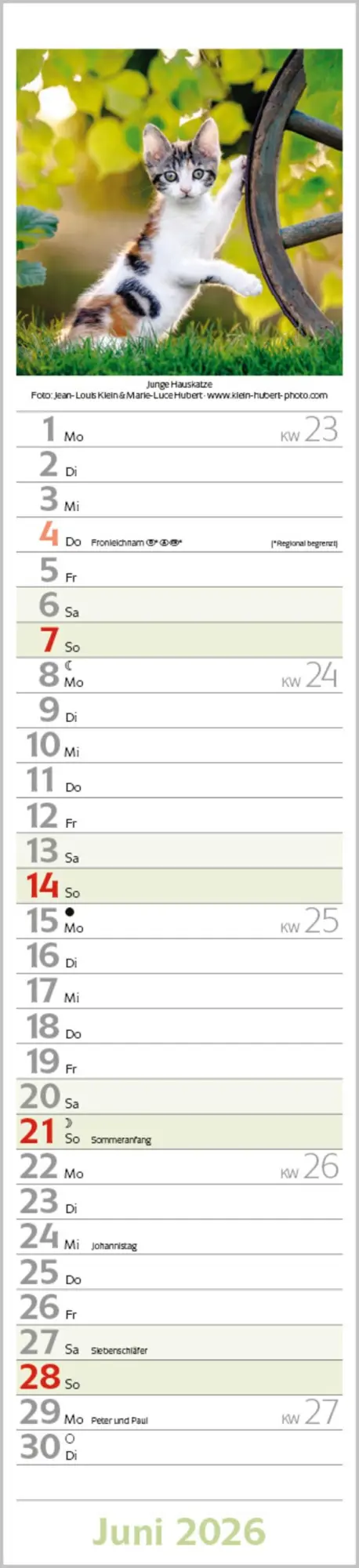 Bild: 9783731886891 | Katzen Langplaner 2026 | Langplaner | Verlag Korsch | Kalender | 13 S.