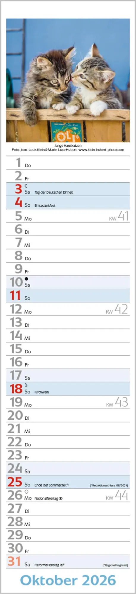 Bild: 9783731886891 | Katzen Langplaner 2026 | Langplaner | Verlag Korsch | Kalender | 13 S.