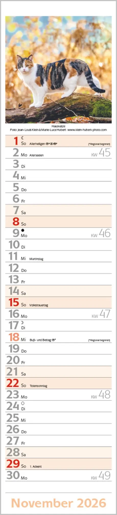 Bild: 9783731886891 | Katzen Langplaner 2026 | Langplaner | Verlag Korsch | Kalender | 13 S.