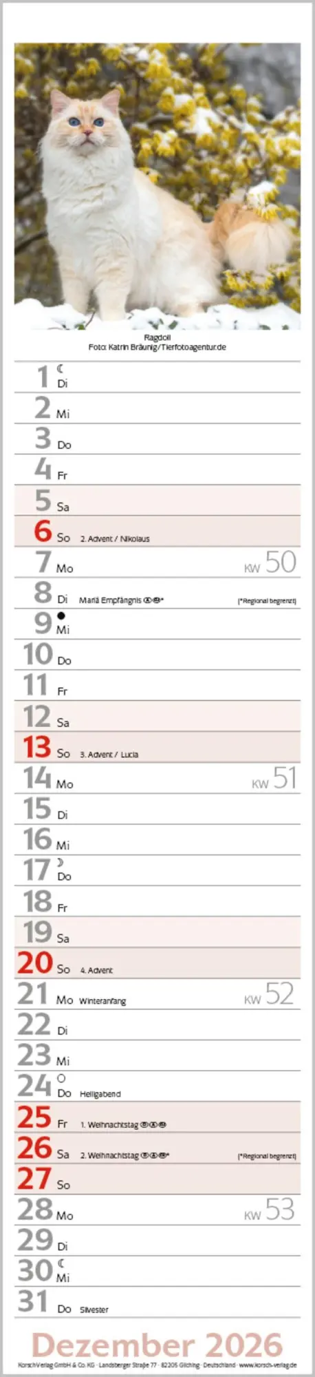 Bild: 9783731886891 | Katzen Langplaner 2026 | Langplaner | Verlag Korsch | Kalender | 13 S.