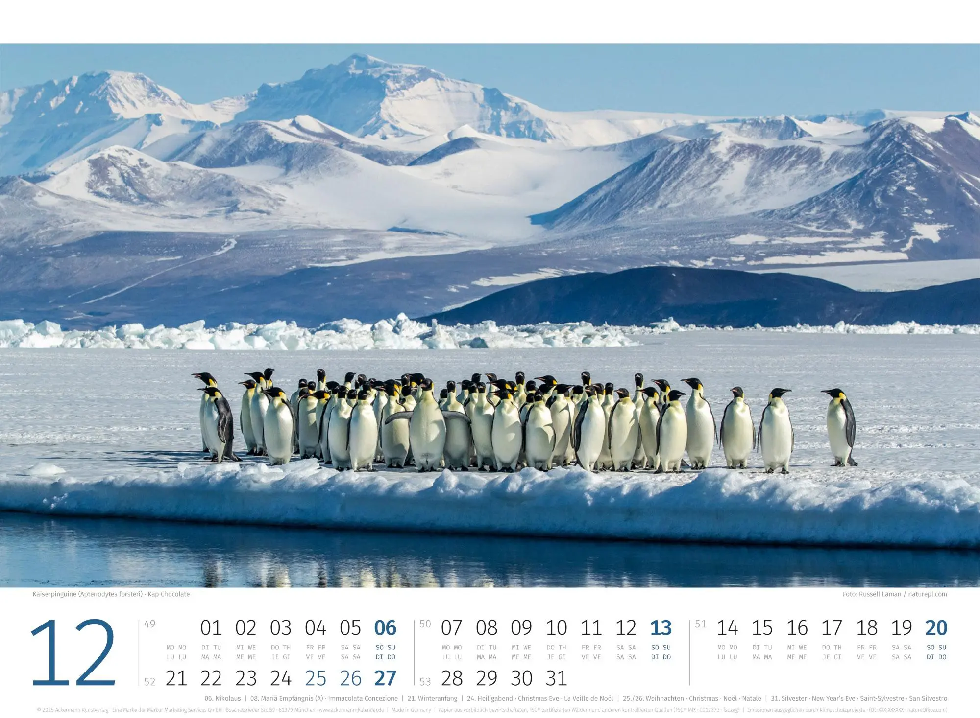 Bild: 9783838426891 | Pinguine Kalender 2026 | Ackermann Kunstverlag GmbH | Kalender | 14 S.