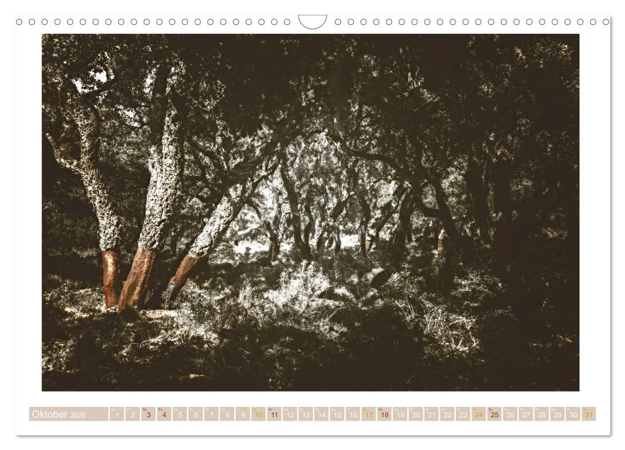 Bild: 9783457886991 | Sardinien Impressionen (Wandkalender 2026 DIN A3 quer), CALVENDO...