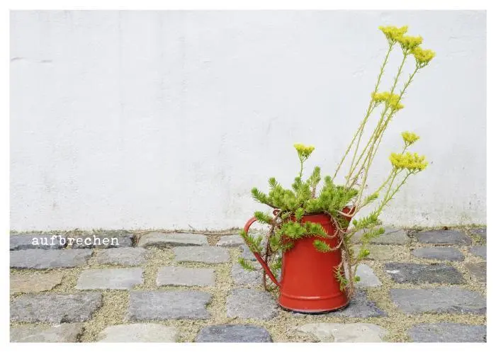 Bild: 4260308357091 | von Herzen - Postkartenbuch | Stephanie Brall | Taschenbuch | Deutsch