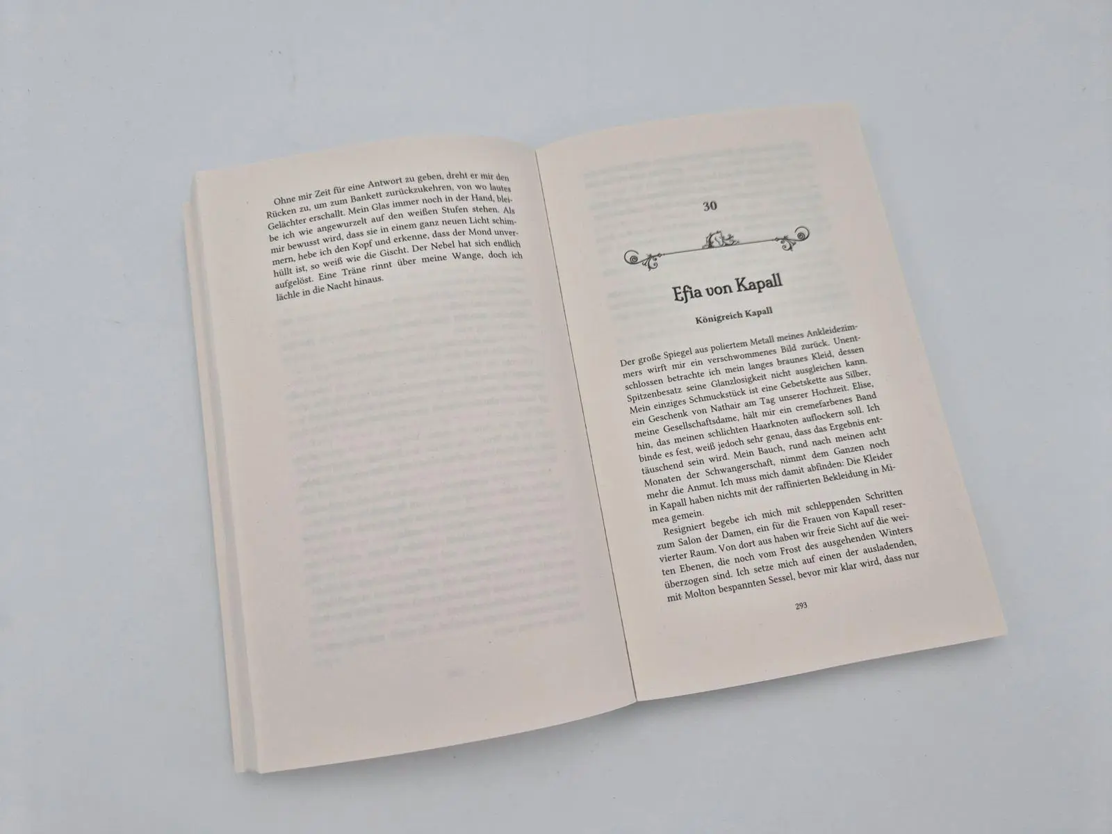 Bild: 9783492707091 | Heller als Feuer | Roman | Alice Doublier | Taschenbuch | 464 S.