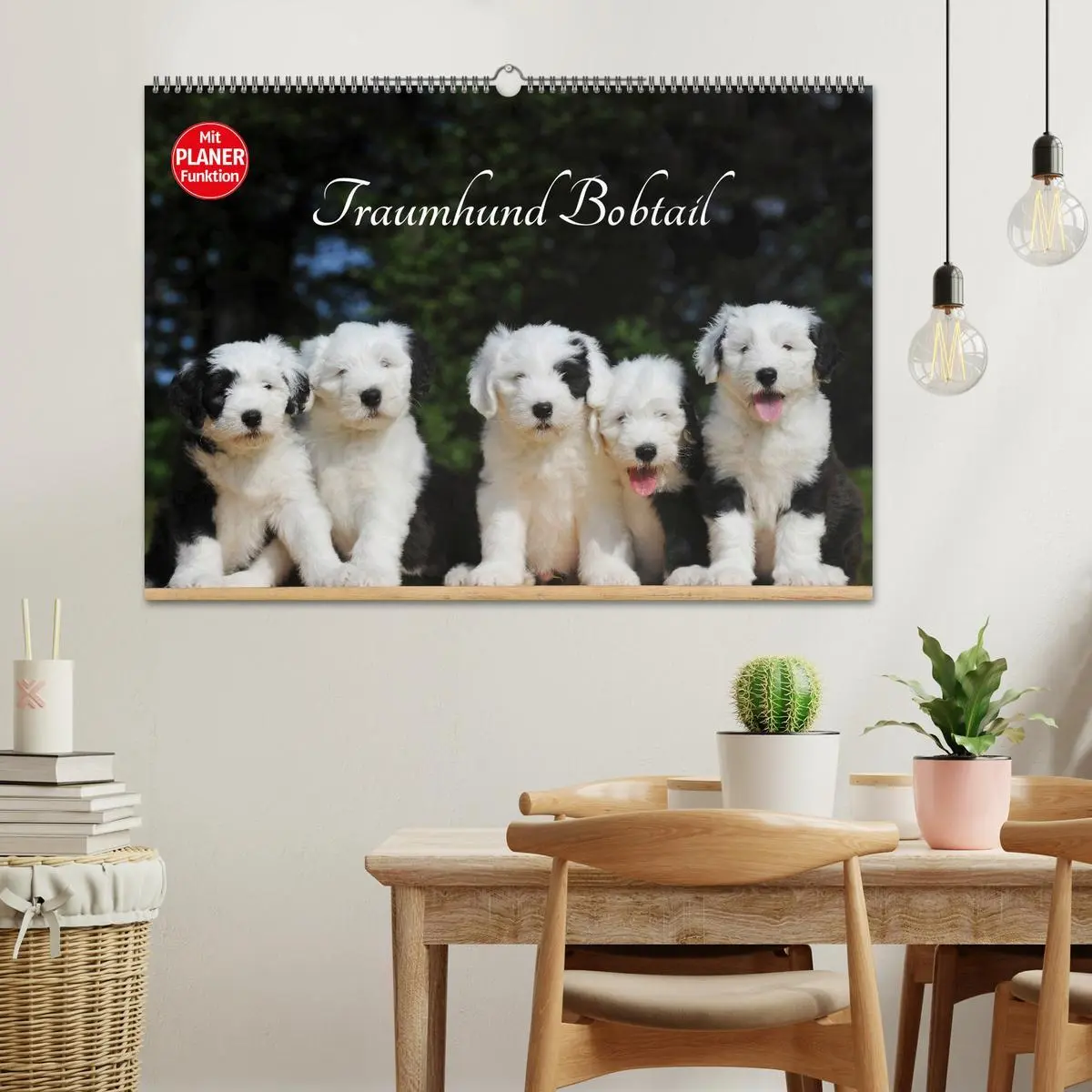 Bild: 9783516007091 | Traumhund Bobtail (Wandkalender 2026 DIN A2 quer), CALVENDO...
