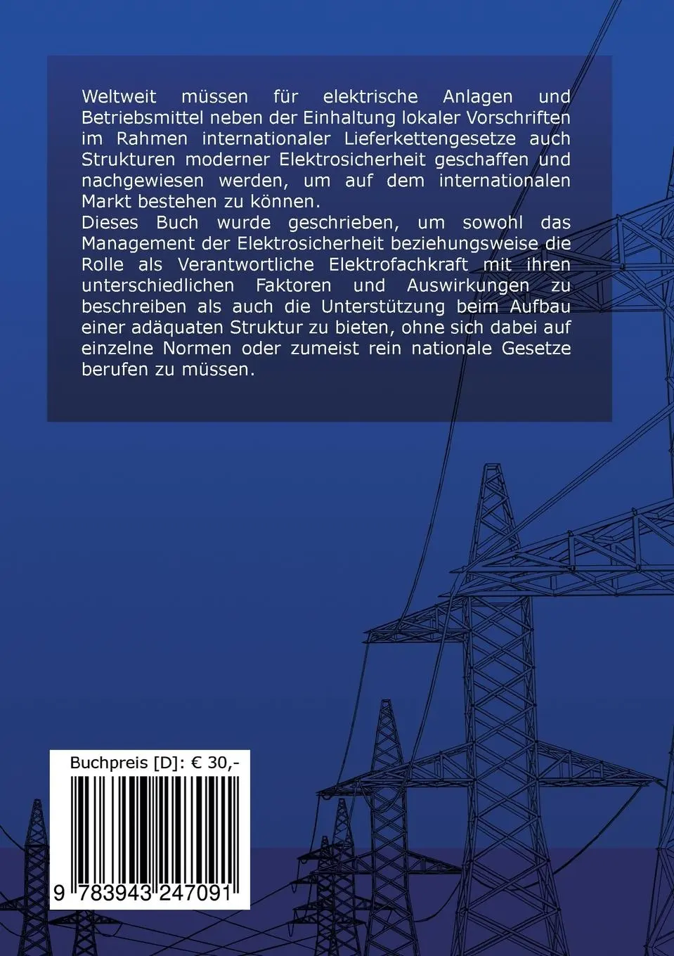 Rückseite: 9783943247091 | Aufbau und Erhalt einer Elektrosicherheitsstruktur | Matthias Surovcik