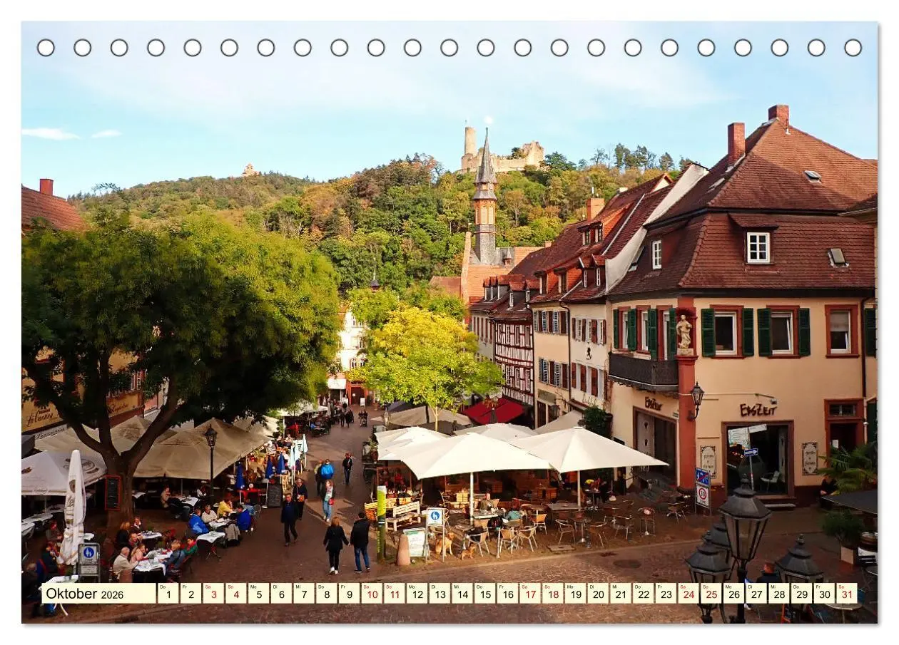 Bild: 9783457387191 | Weinheim im Laufe der Jahreszeiten (Tischkalender 2026 DIN A5...