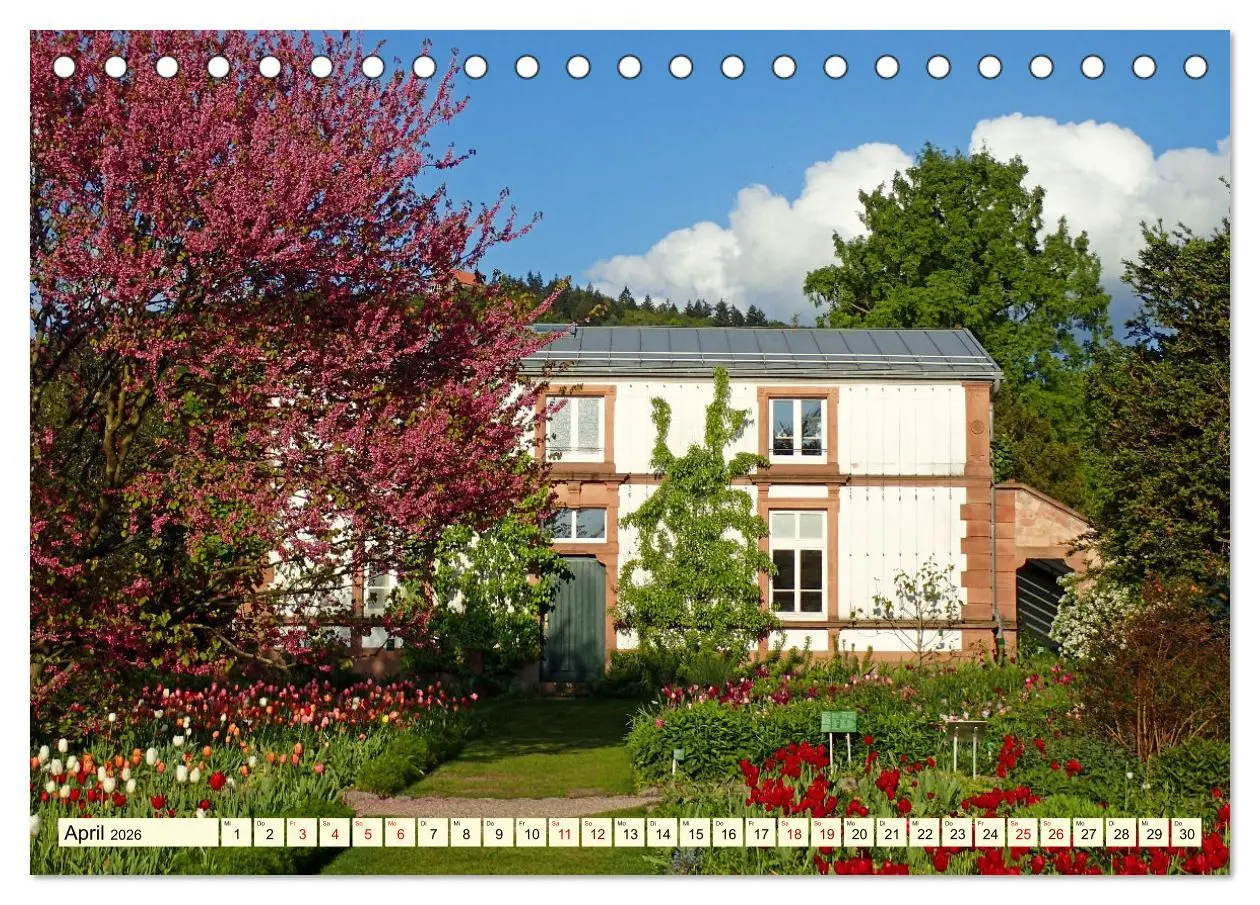 Bild: 9783457387191 | Weinheim im Laufe der Jahreszeiten (Tischkalender 2026 DIN A5...
