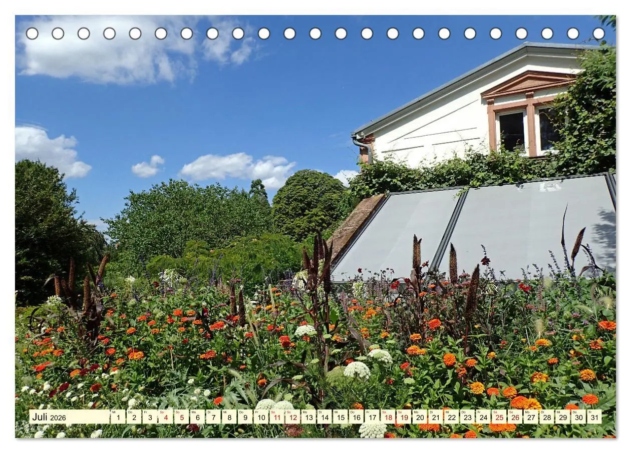 Bild: 9783457387191 | Weinheim im Laufe der Jahreszeiten (Tischkalender 2026 DIN A5...