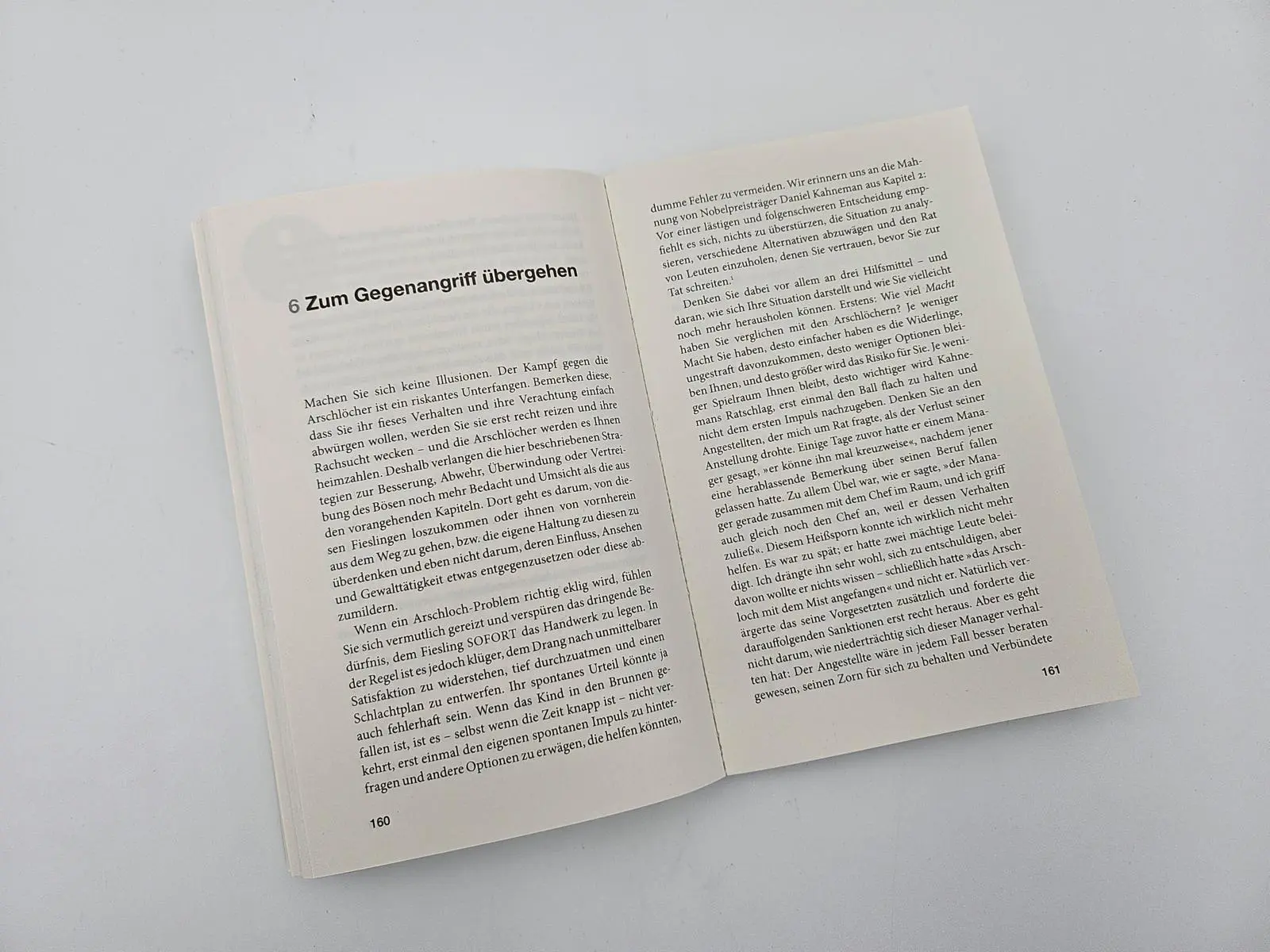 Bild: 9783492317191 | Überleben unter Arschlöchern | Robert I. Sutton | Taschenbuch | 256 S.