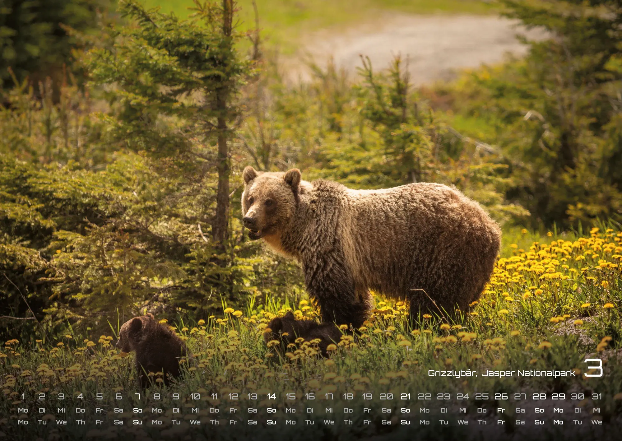Bild: 9783986737191 | Kanada - Abenteuer Natur - 2027 - Kalender DIN A2 | GP-Fever. de