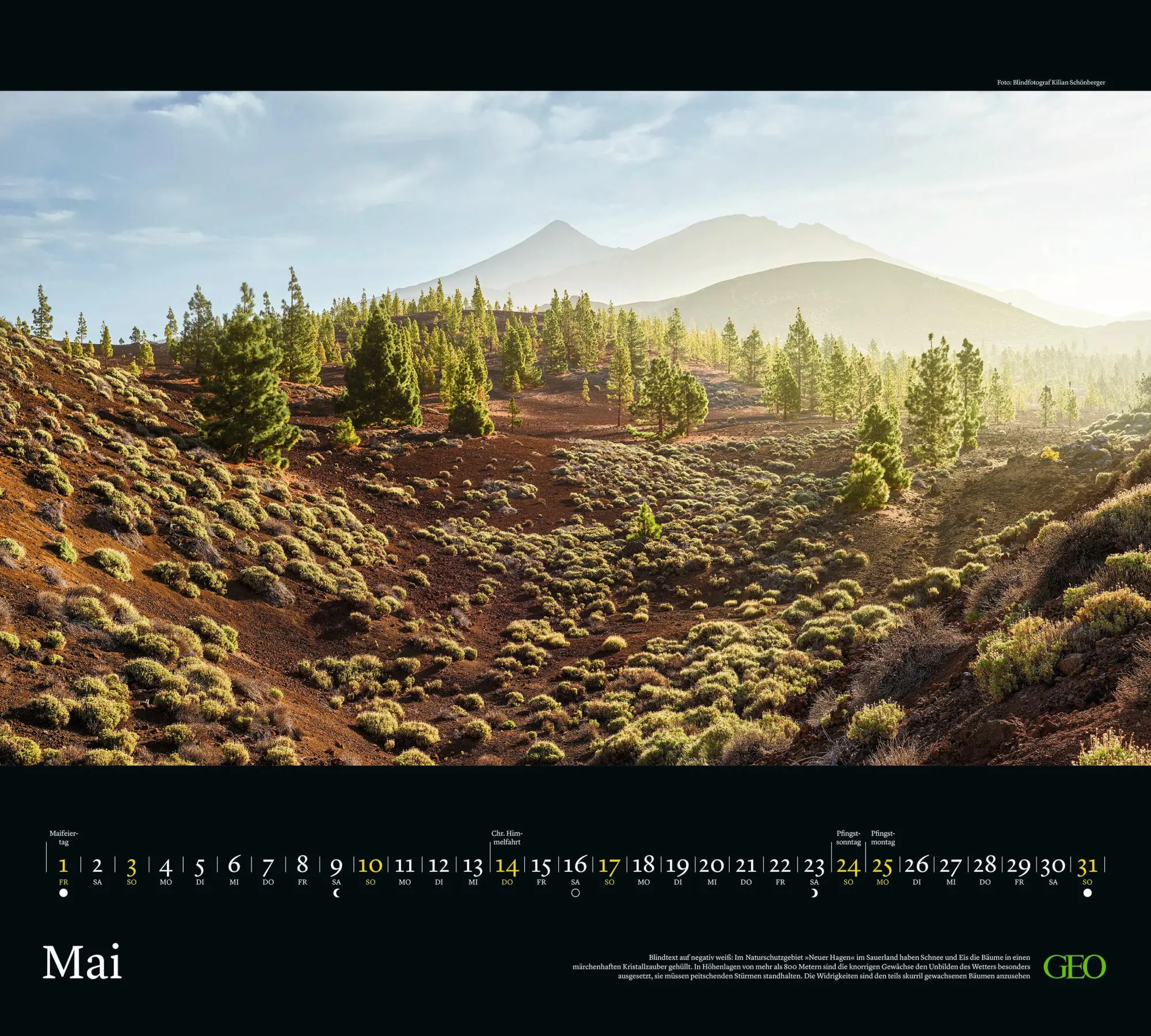Bild: 4069095007291 | GEO Traumziele 2026 - Wand-Kalender - Reise-Kalender -...
