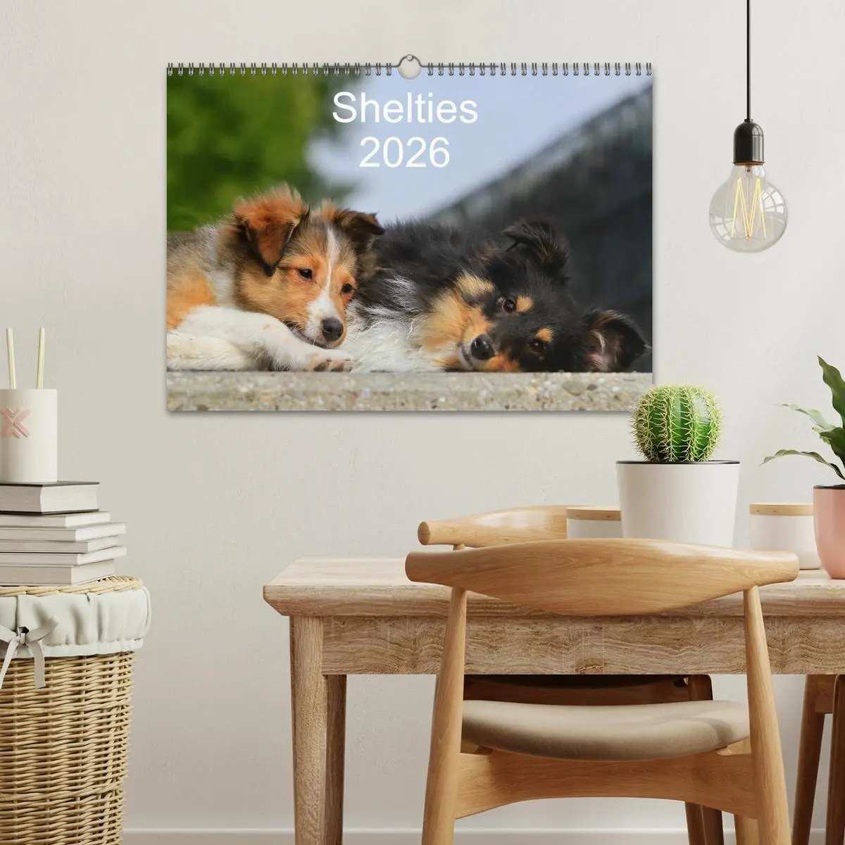Bild: 9783516157291 | Shelties 2026 (Wandkalender 2026 DIN A3 quer), CALVENDO Monatskalender