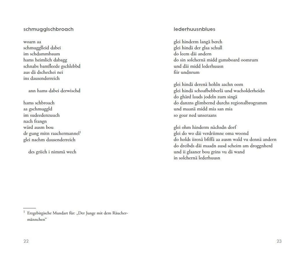 Bild: 9783747207291 | Leem aus Leem | 77 Gedichte | Siegfried Straßner | Taschenbuch | 2025