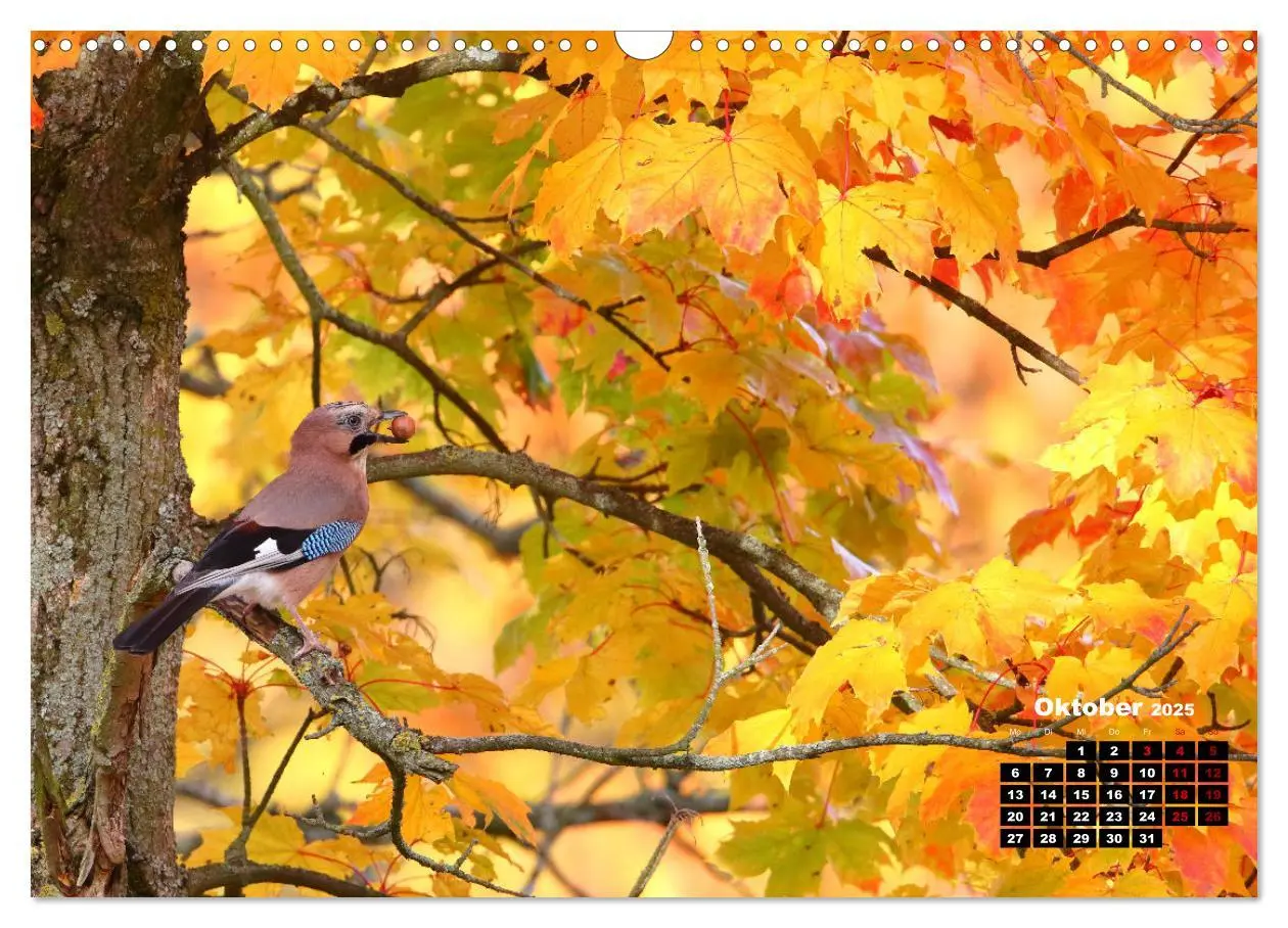 Bild: 9783383877391 | Wildes Bochum (Wandkalender 2025 DIN A3 quer), CALVENDO Monatskalender