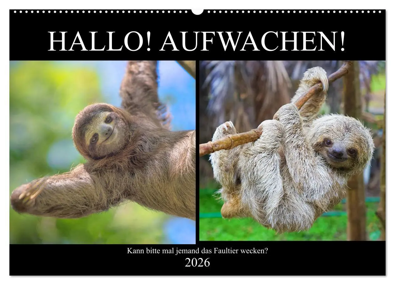 Cover: 9783457817391 | Hallo! Aufwachen! Kann bitte mal jemand das Faultier wecken?...