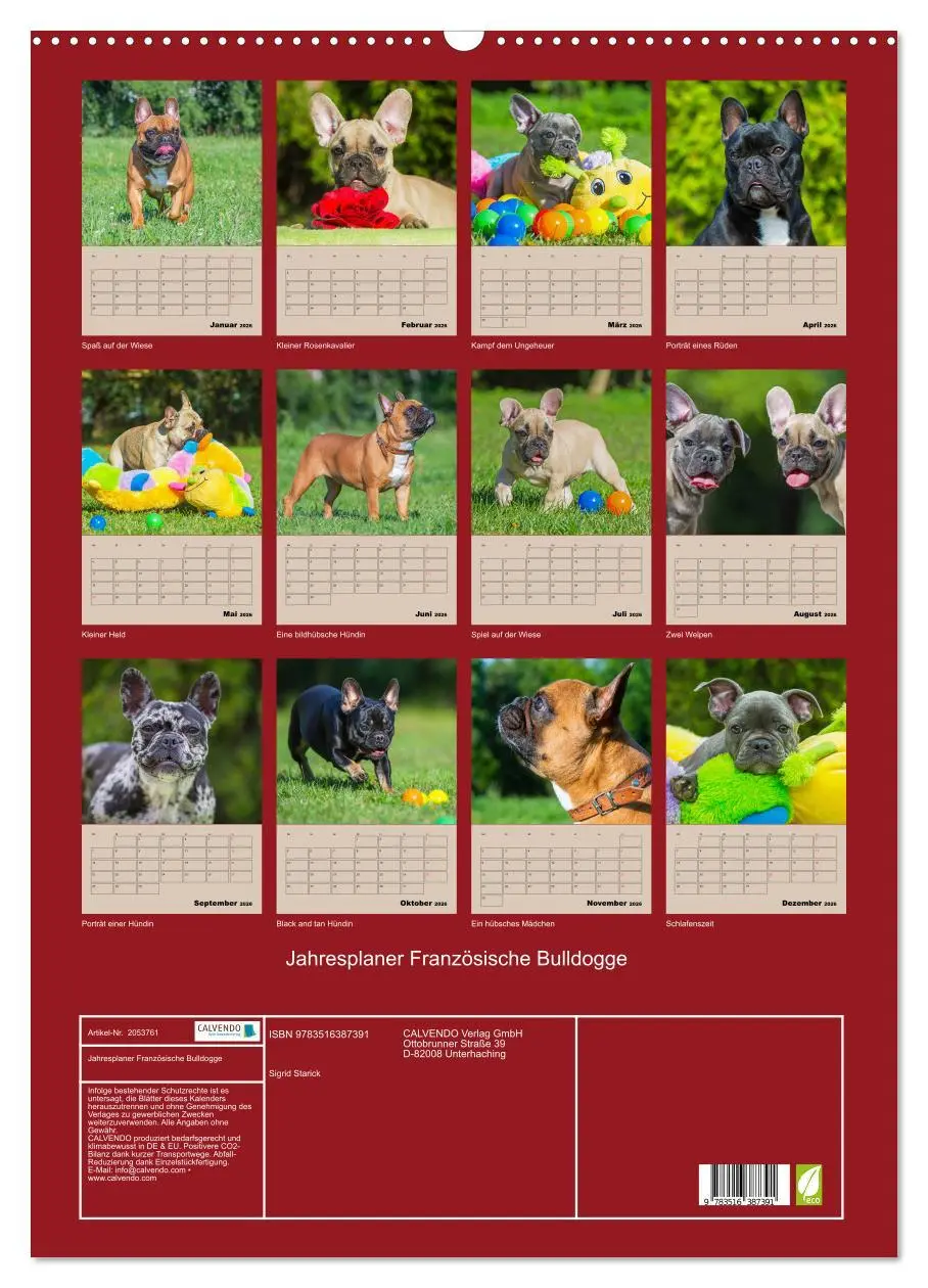 Bild: 9783516387391 | Jahresplaner Französische Bulldogge (Wandkalender 2026 DIN A2...