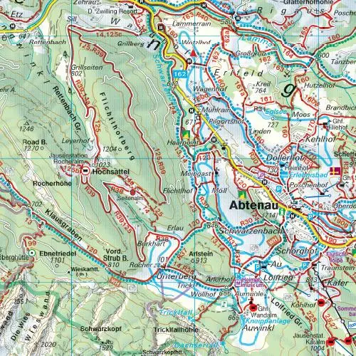 Bild: 9783850847391 | Tennengebirge, Lammertal, Gosaukamm 1 : 50 000. WK 392 | KG | gefalzt