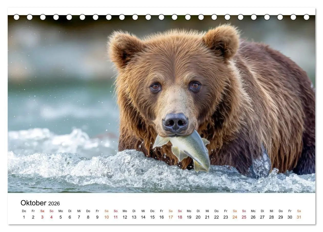 Bild: 9783516687491 | Bären - Die Macht der Natur (Tischkalender 2026 DIN A5 quer),...