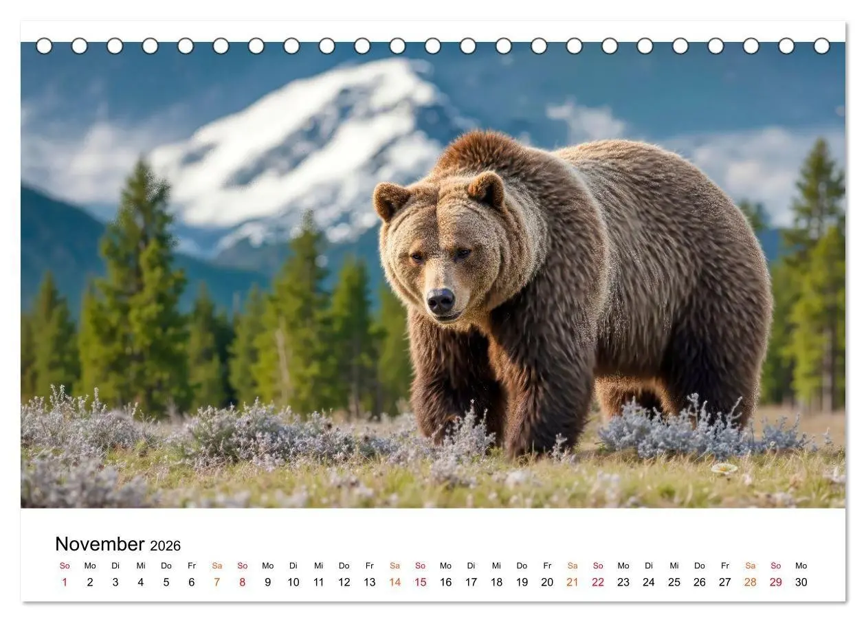Bild: 9783516687491 | Bären - Die Macht der Natur (Tischkalender 2026 DIN A5 quer),...