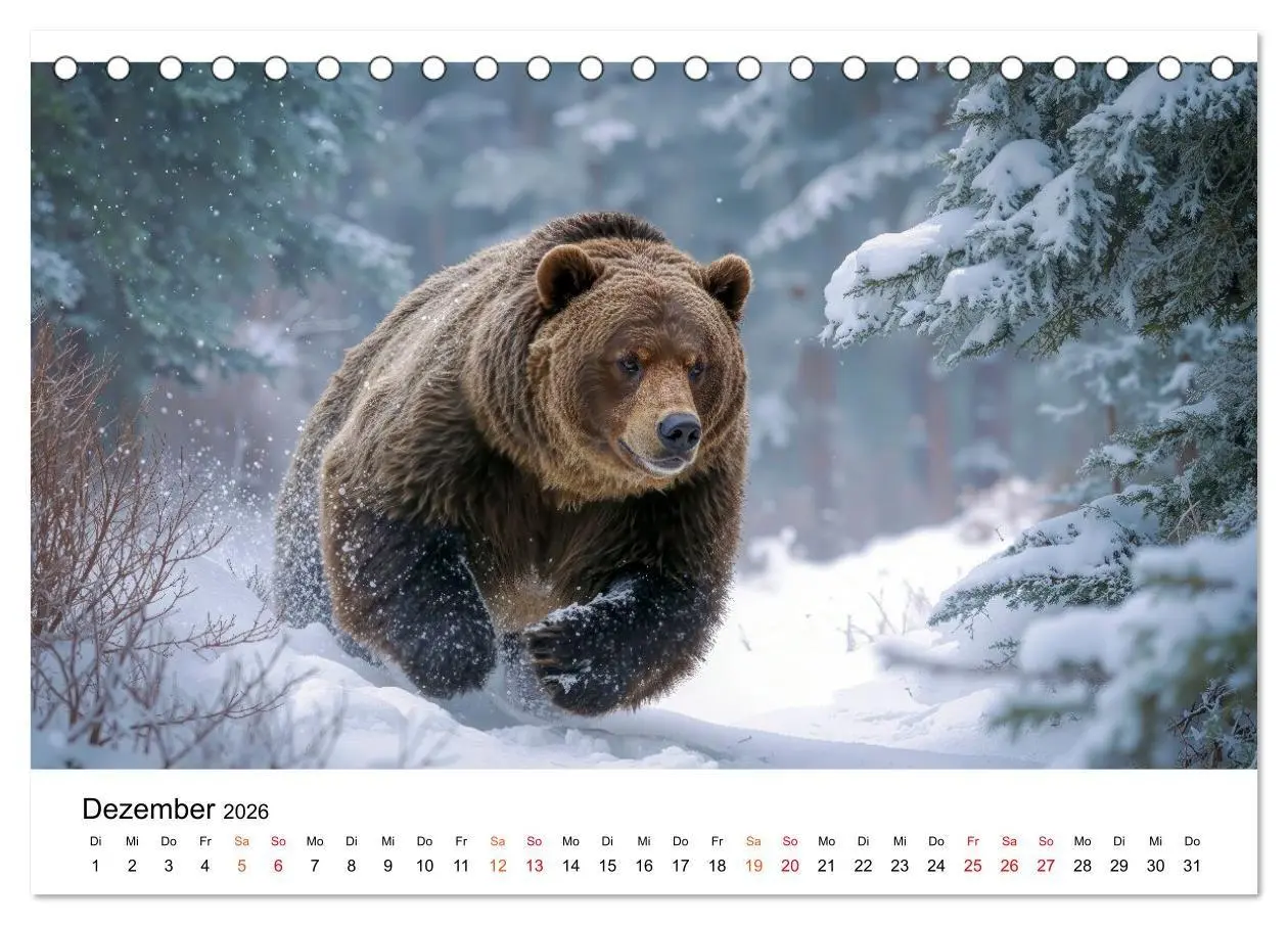 Bild: 9783516687491 | Bären - Die Macht der Natur (Tischkalender 2026 DIN A5 quer),...