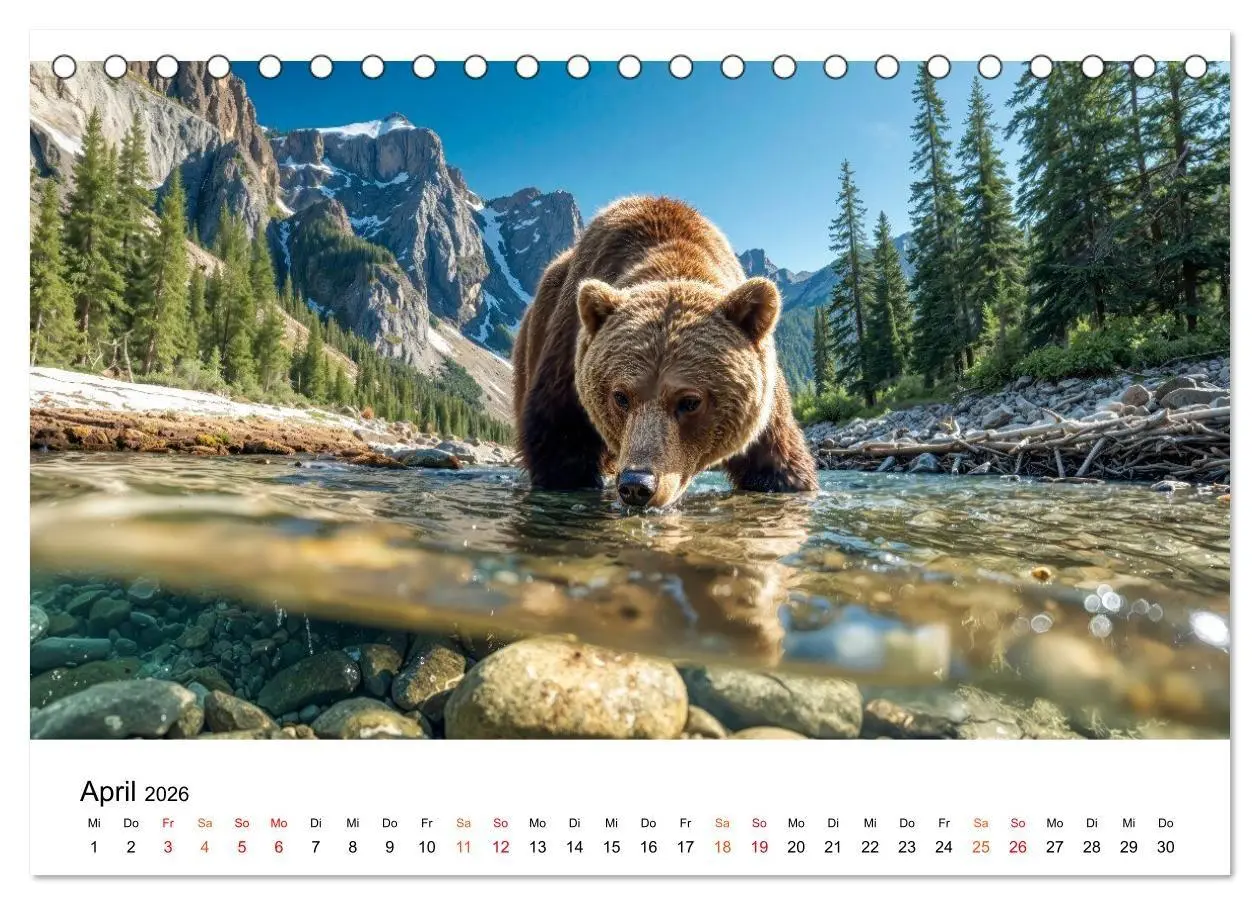 Bild: 9783516687491 | Bären - Die Macht der Natur (Tischkalender 2026 DIN A5 quer),...