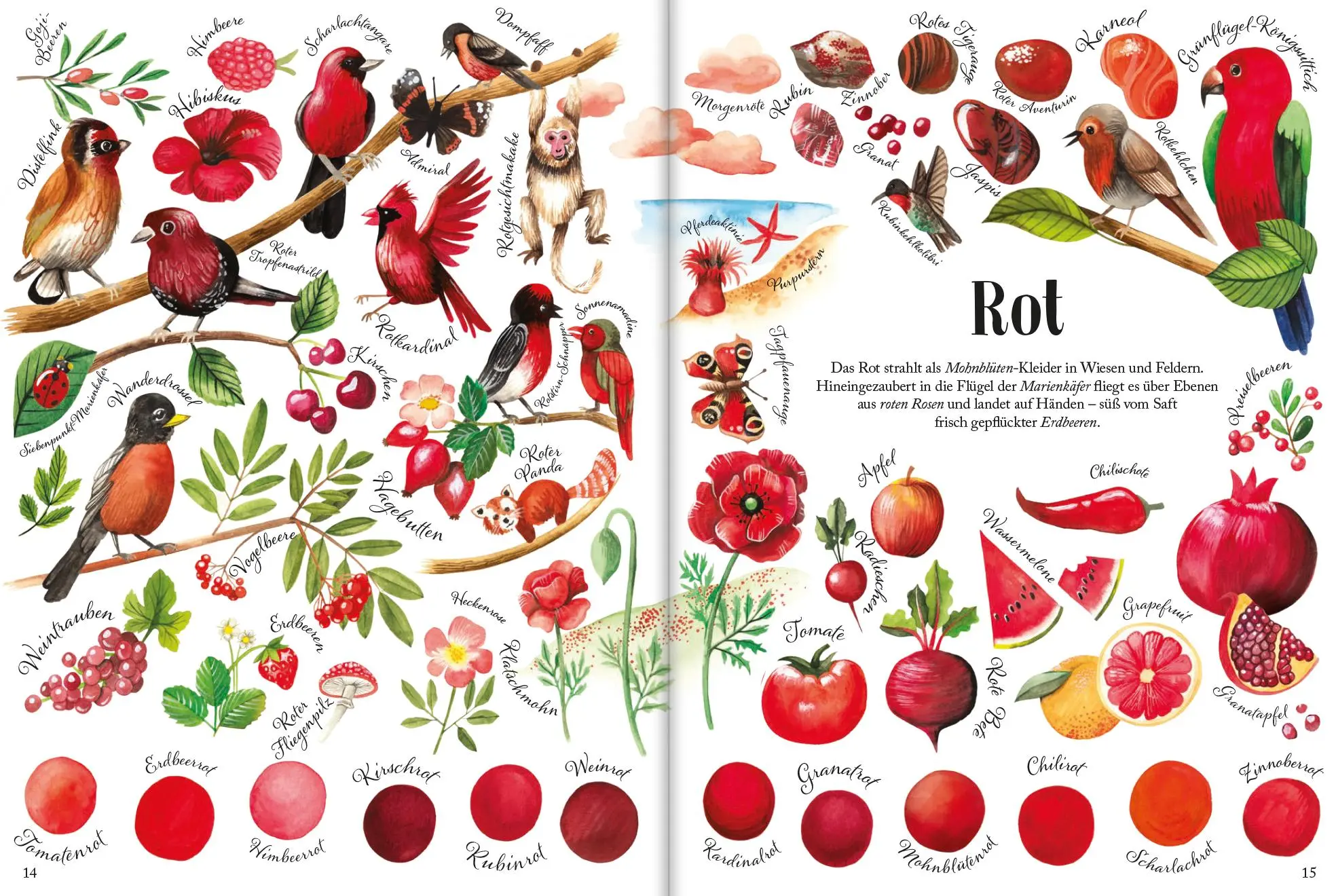 Bild: 9783948877491 | So bunt ist die Natur! | Jana Sedlácková (u. a.) | Buch | 40 S. | 2024