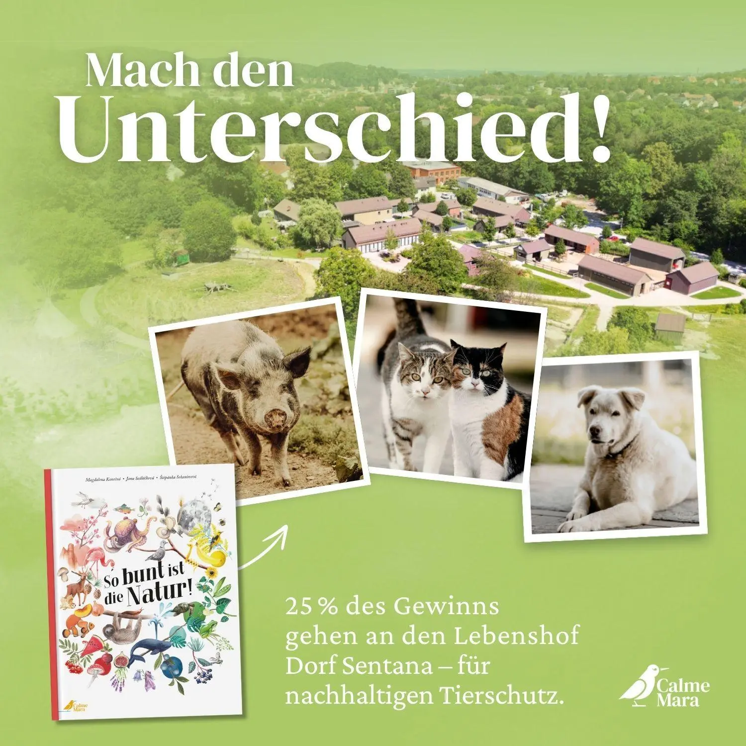 Bild: 9783948877491 | So bunt ist die Natur! | Jana Sedlácková (u. a.) | Buch | 40 S. | 2024