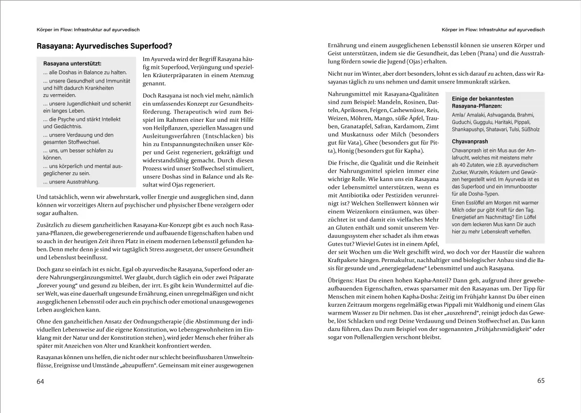 Bild: 9783966457491 | Ayurveda: Einfach machen | Ariane Hotzel | Taschenbuch | 352 S. | 2022