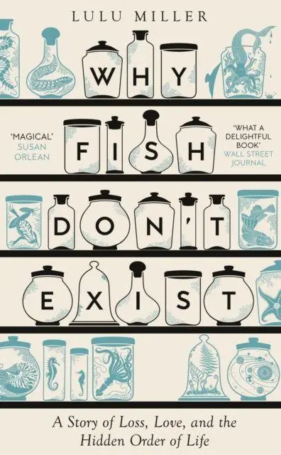 Cover: 9781805337591 | Why Fish Don't Exist | A Story of Finding Our Way in a Chaotic World