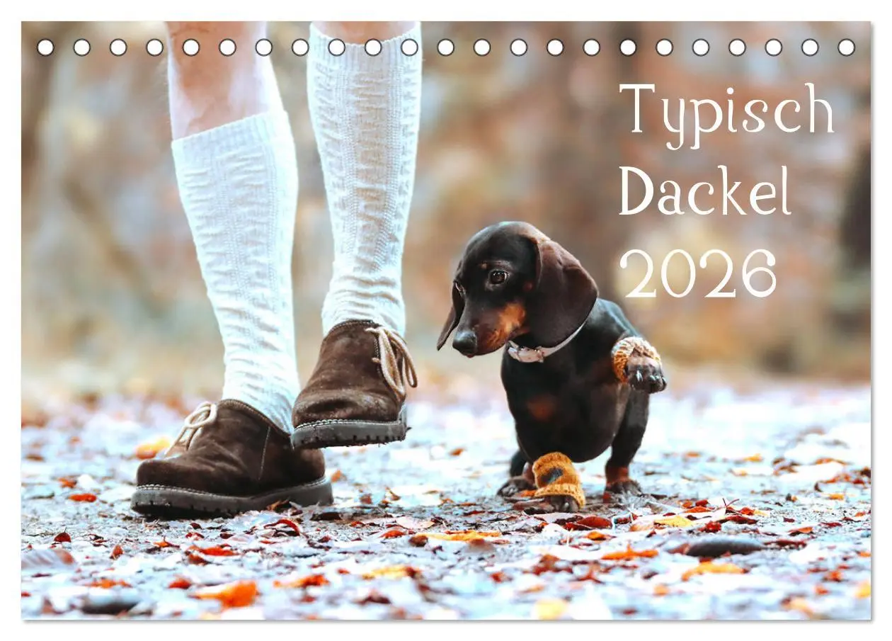 Cover: 9783457277591 | Typisch Dackel 2026 (Tischkalender 2026 DIN A5 quer), CALVENDO...