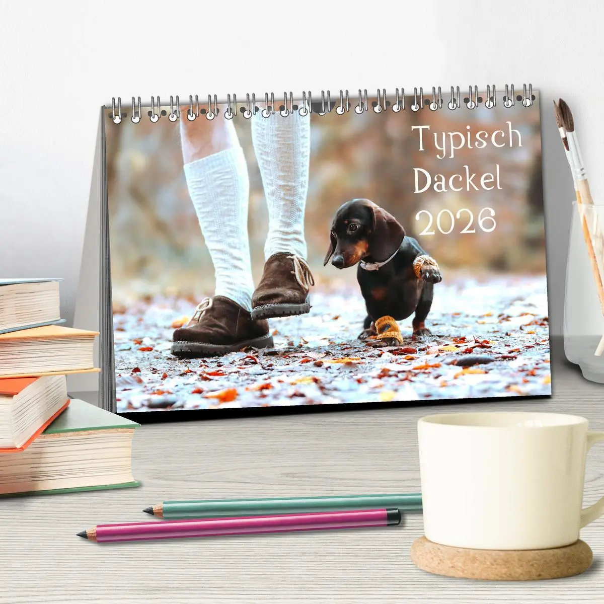 Bild: 9783457277591 | Typisch Dackel 2026 (Tischkalender 2026 DIN A5 quer), CALVENDO...
