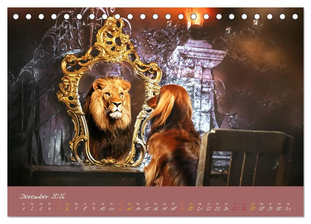 Bild: 9783457277591 | Typisch Dackel 2026 (Tischkalender 2026 DIN A5 quer), CALVENDO...