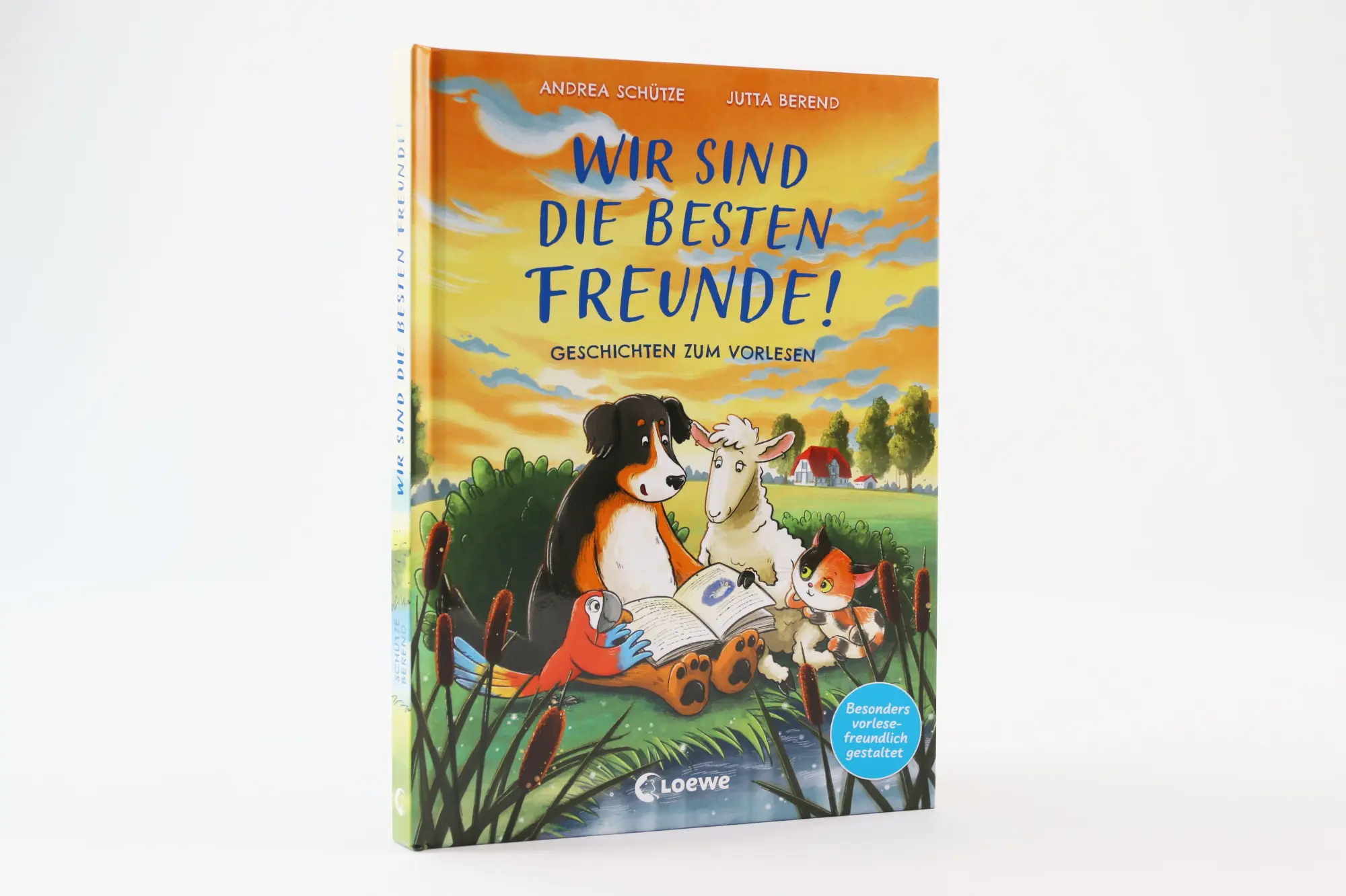 Bild: 9783743217591 | Wir sind die besten Freunde! | Andrea Schütze | Buch | 96 S. | Deutsch
