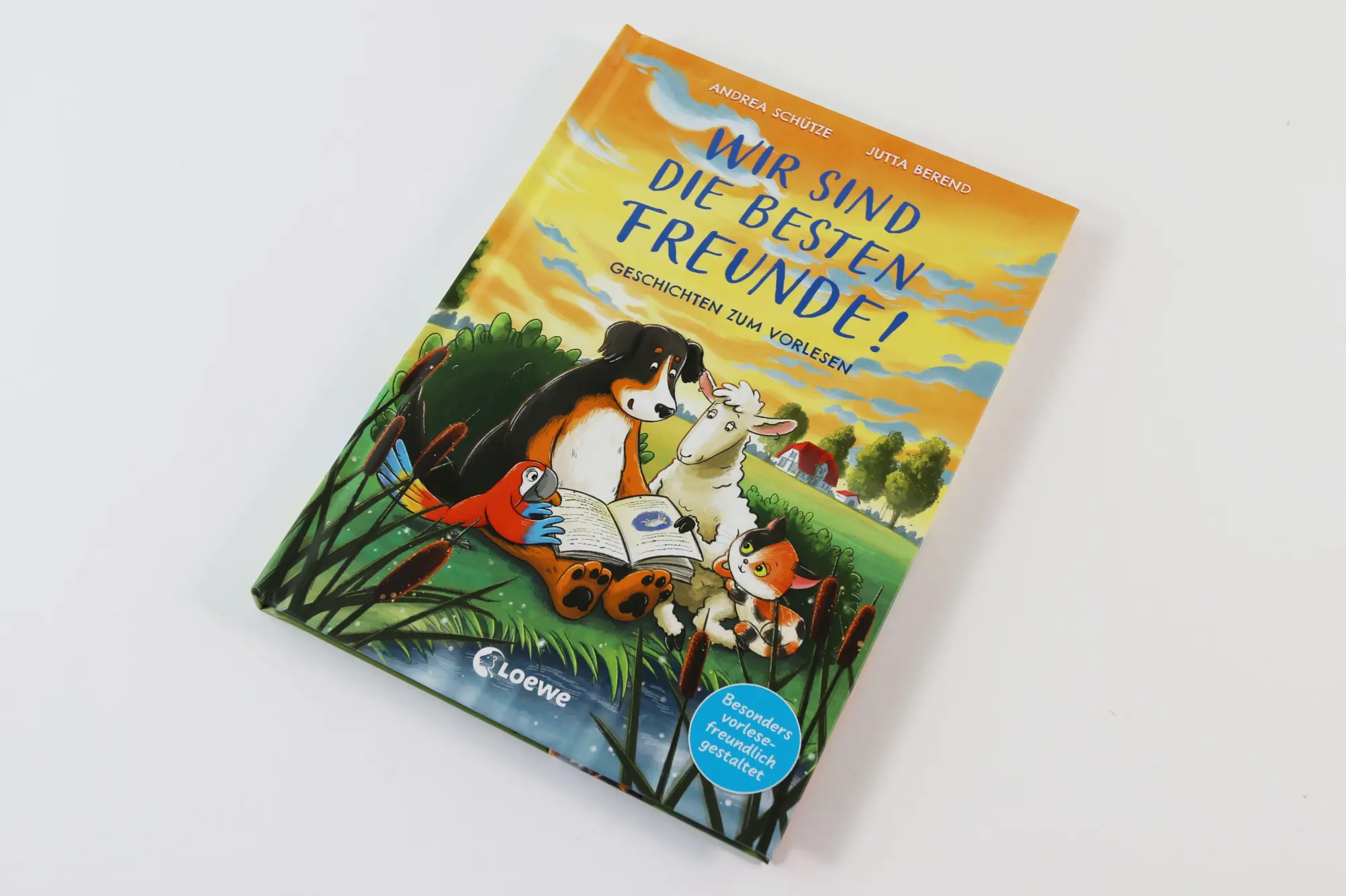 Bild: 9783743217591 | Wir sind die besten Freunde! | Andrea Schütze | Buch | 96 S. | Deutsch