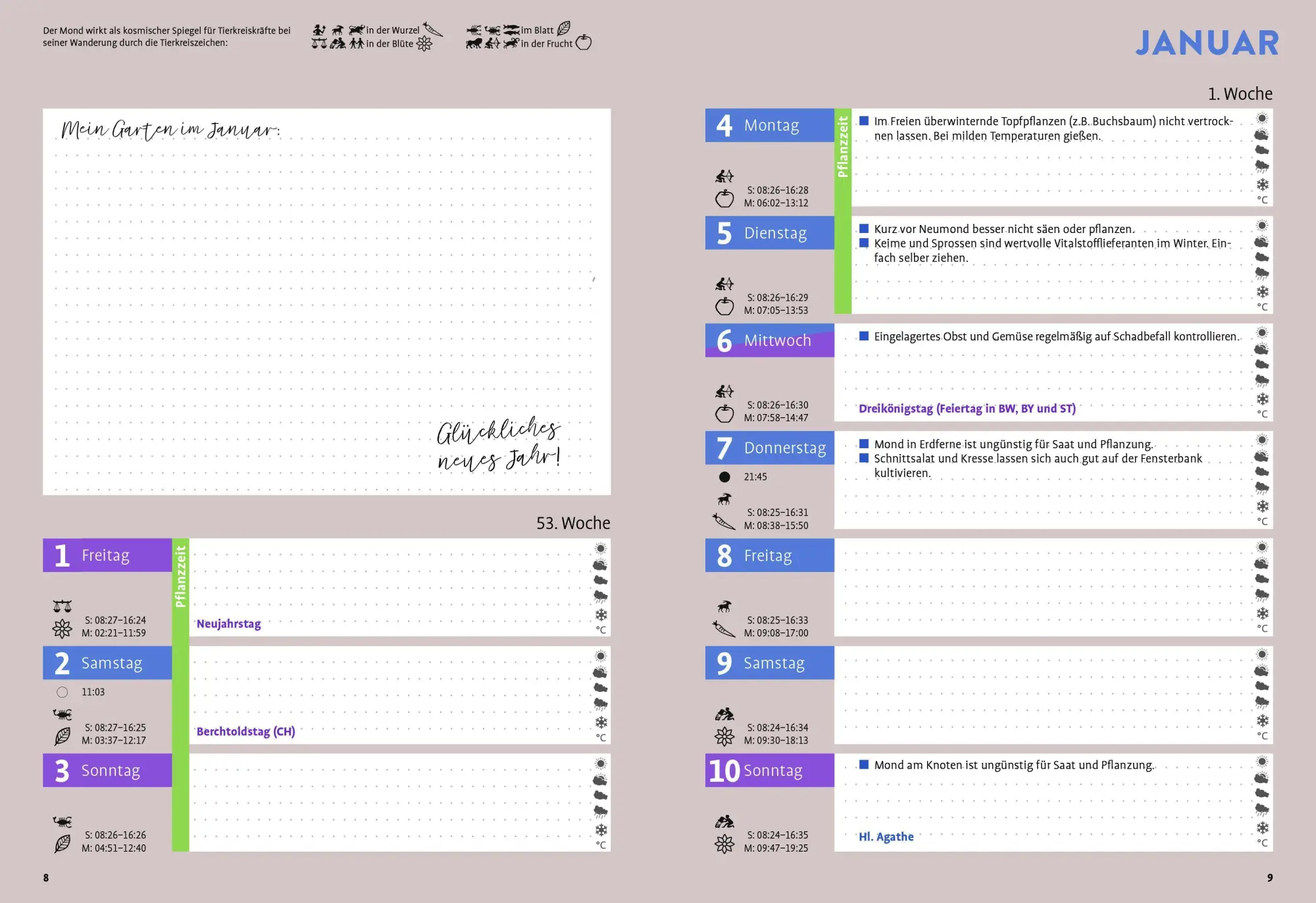 Bild: 9783818627591 | Ulmers Gartenkalender 2027 | Taschenbuch | 208 S. | Deutsch | 2027