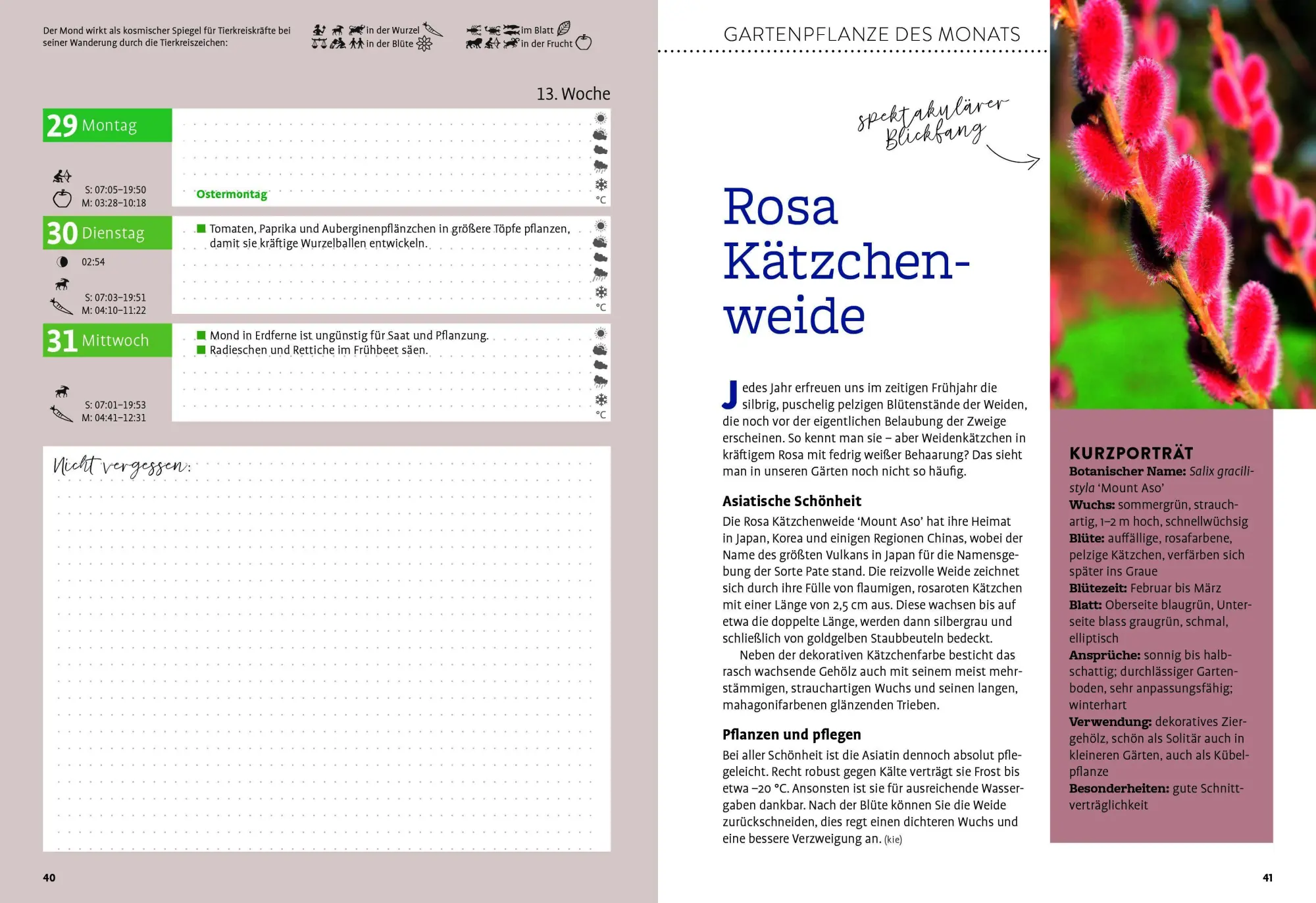 Bild: 9783818627591 | Ulmers Gartenkalender 2027 | Taschenbuch | 208 S. | Deutsch | 2027